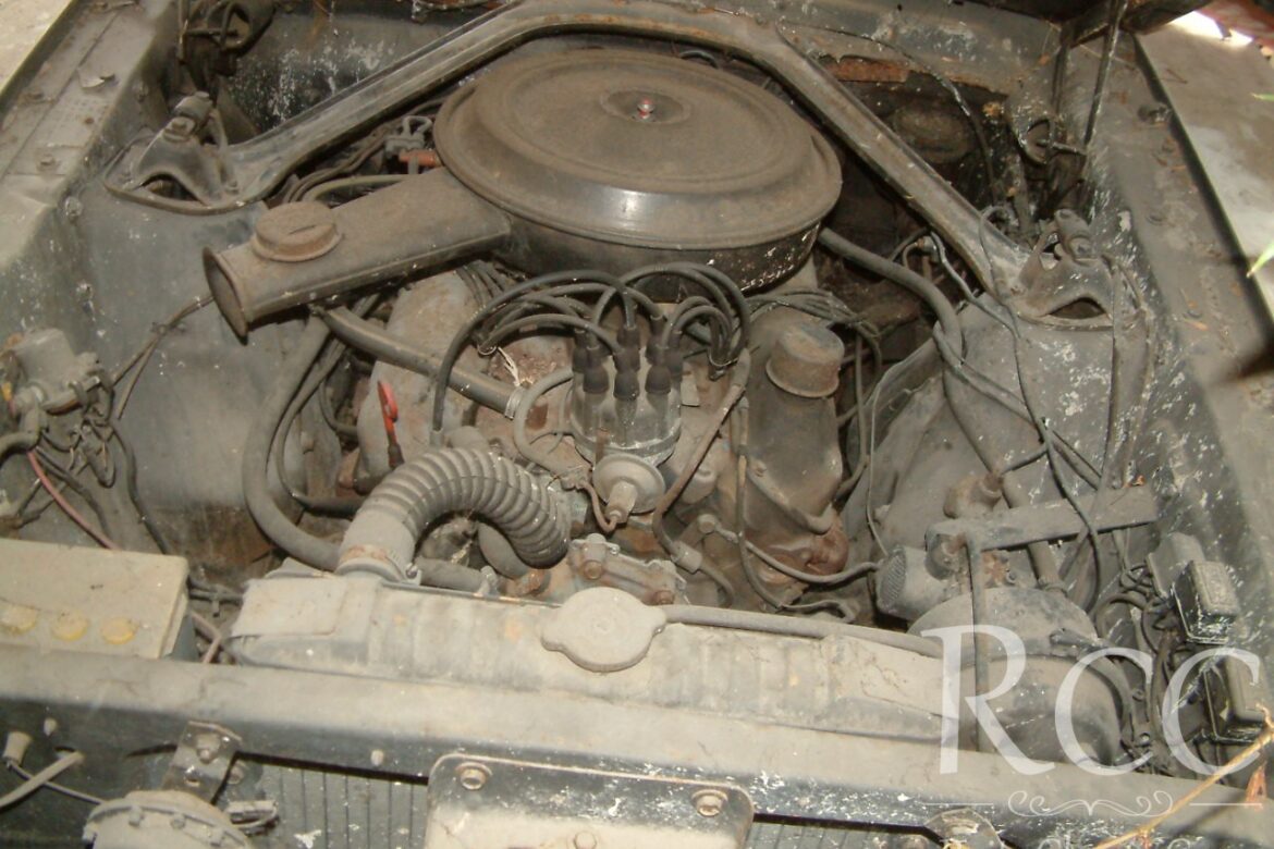 mustang-64-12